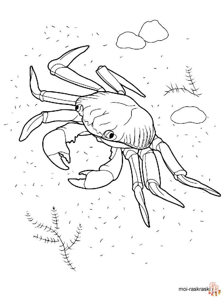Coloriage crabes
