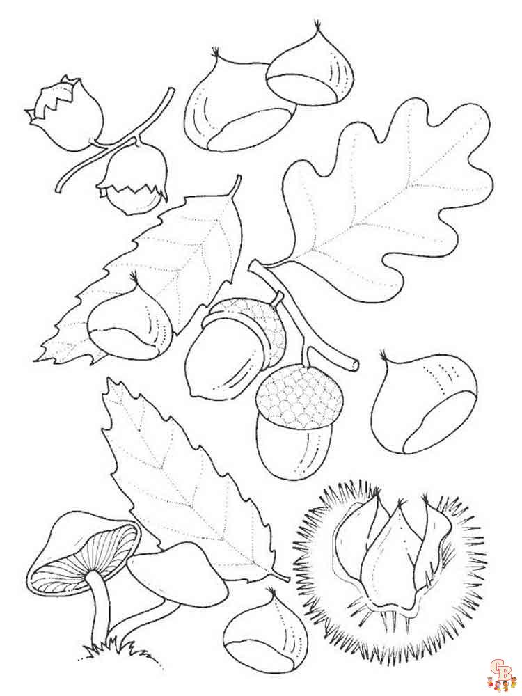 coloriage feuilles