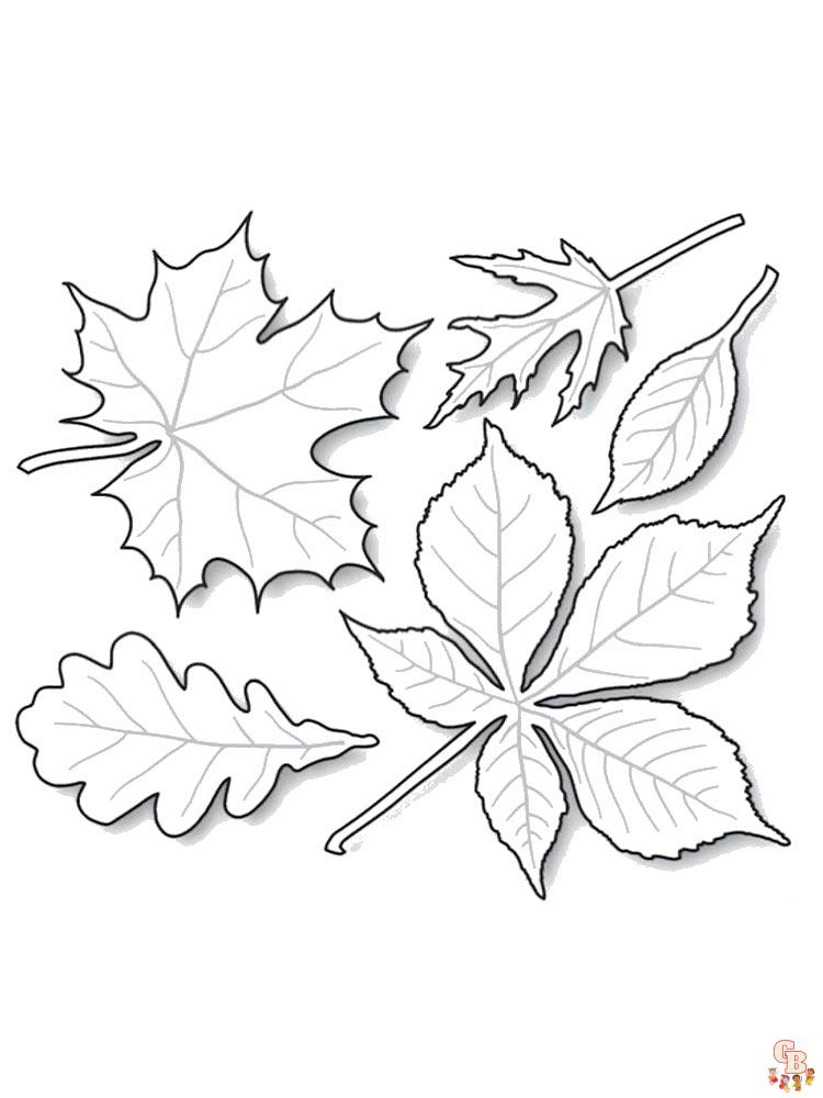 coloriage feuilles