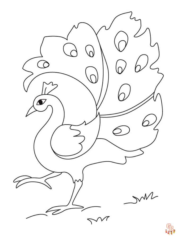 Coloriage Paon