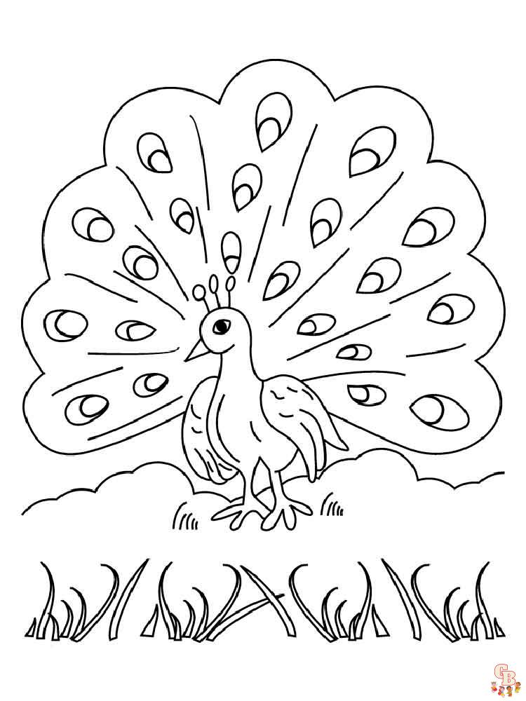 Coloriage Paon