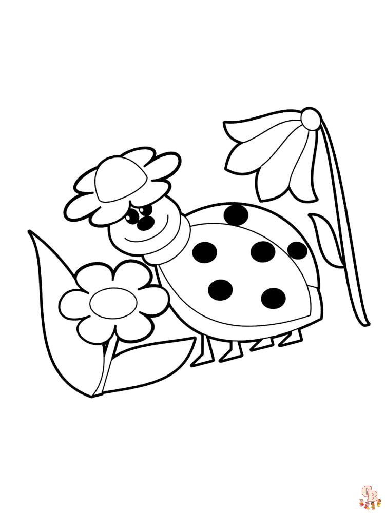 coloriage coccinelles