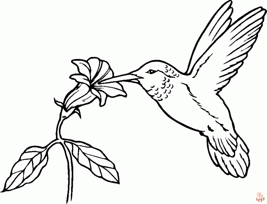 coloriage oiseaux