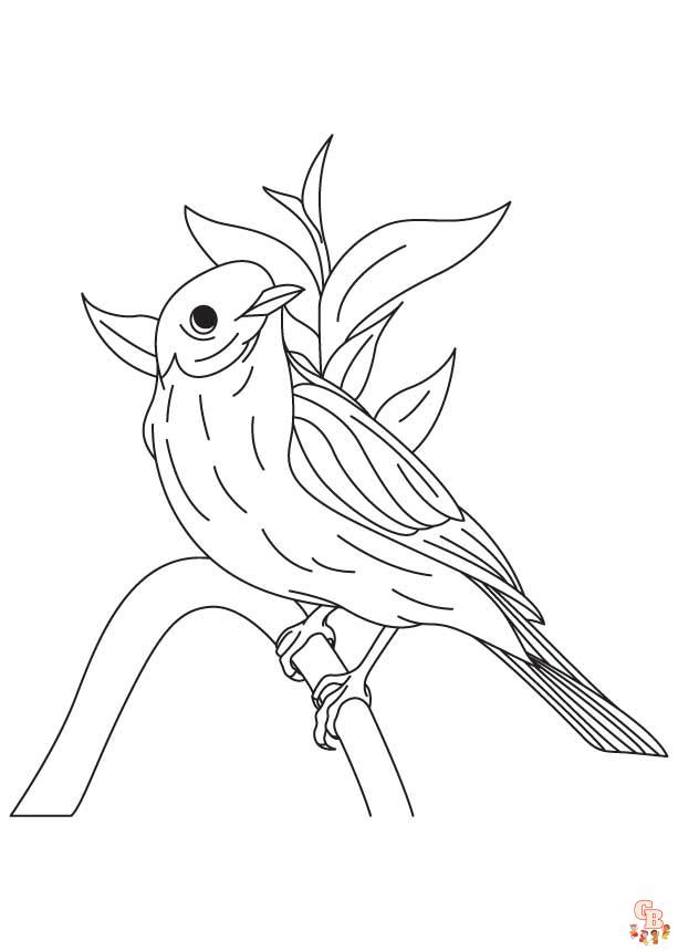 coloriage oiseaux