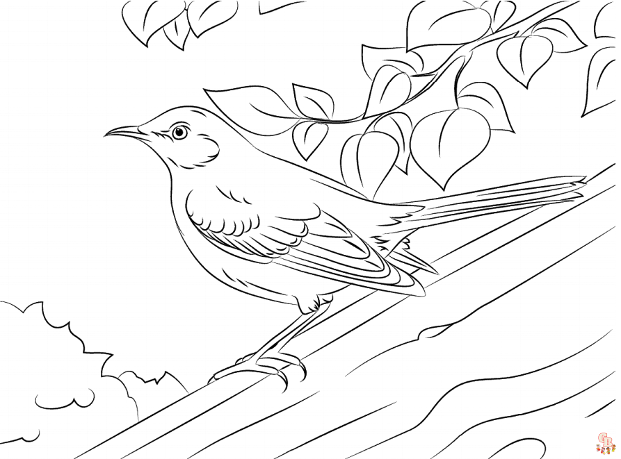 coloriage oiseaux