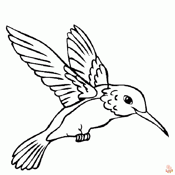 coloriage oiseaux