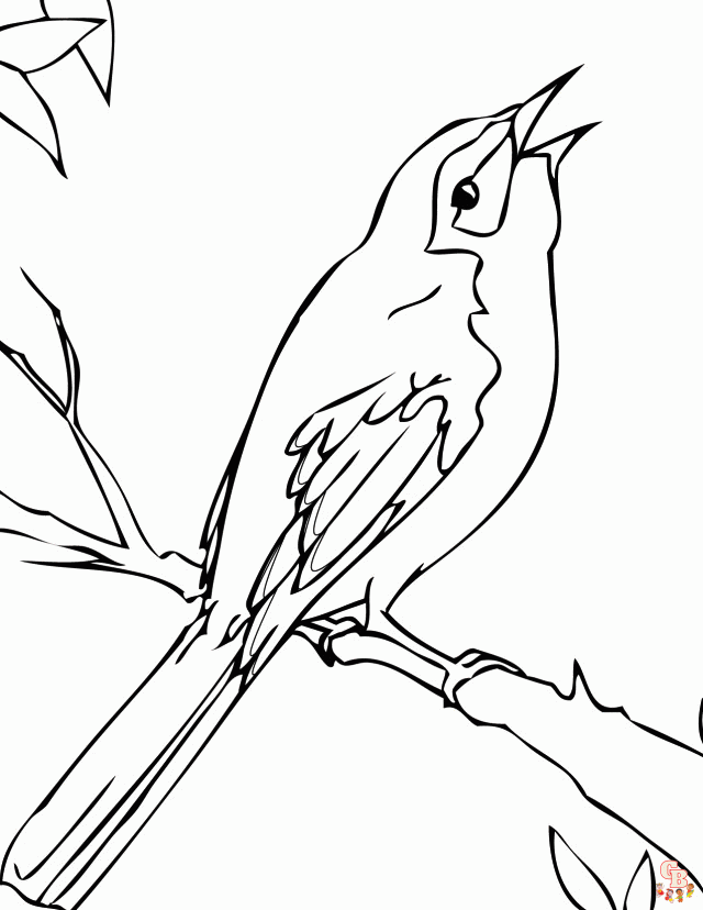 coloriage oiseaux