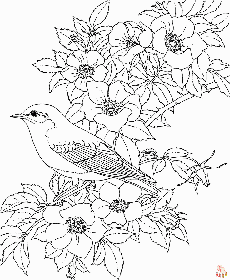 coloriage oiseaux