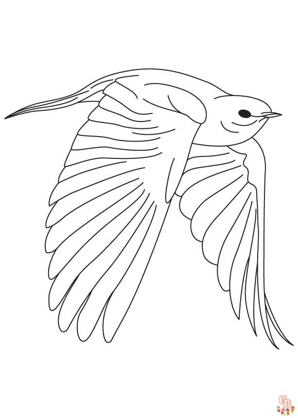 coloriage oiseaux