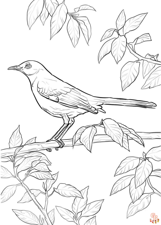 coloriage oiseaux