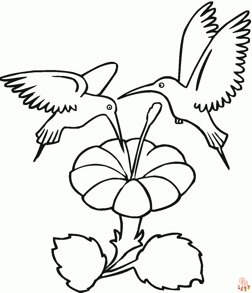 coloriage oiseaux