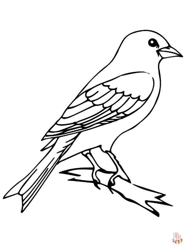 coloriage oiseaux