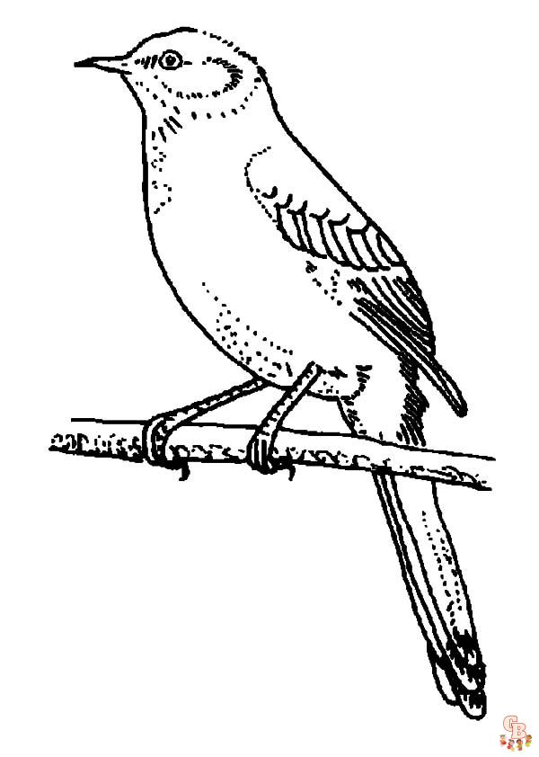 coloriage oiseaux