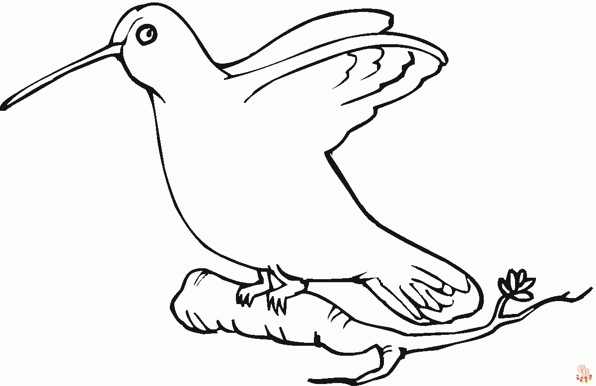 coloriage oiseaux