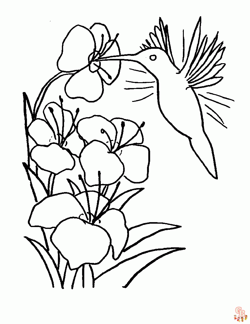 coloriage oiseaux
