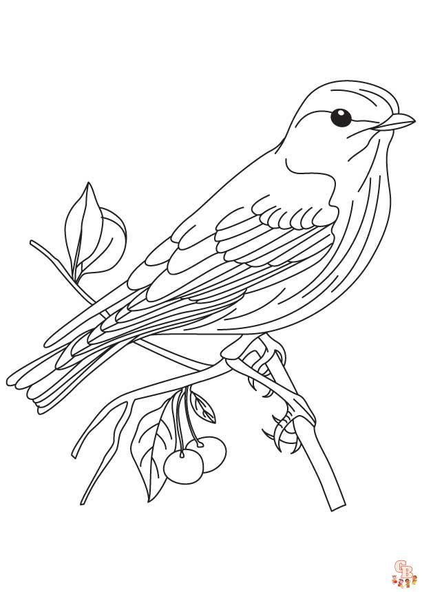 coloriage oiseaux