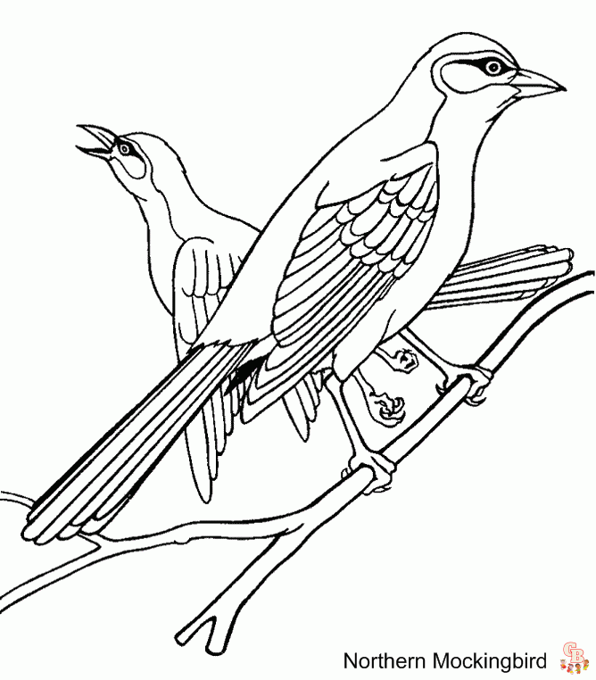 coloriage oiseaux