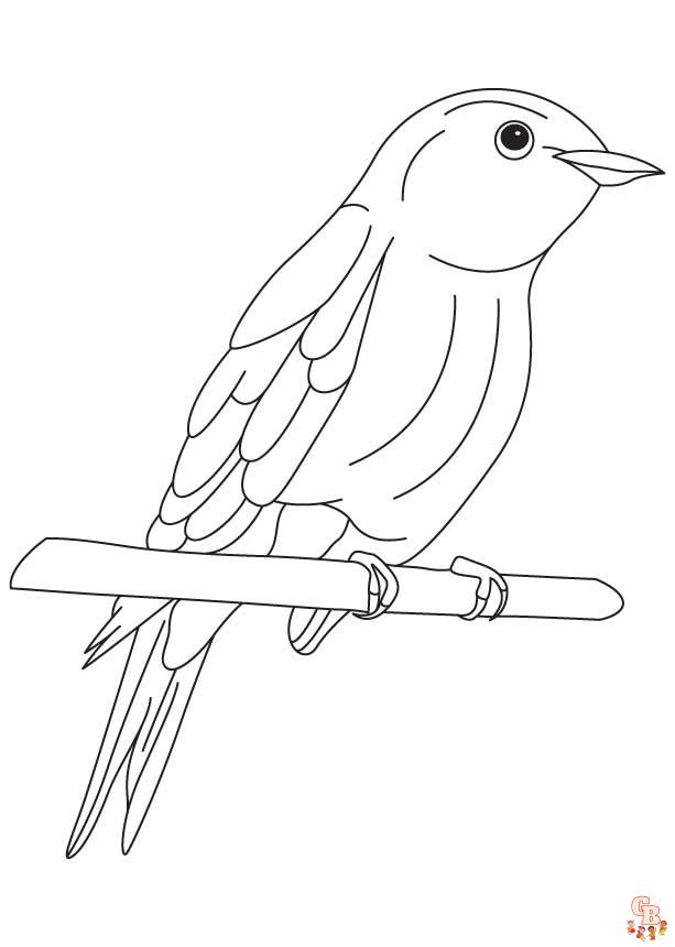 coloriage oiseaux