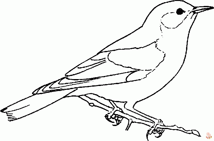 coloriage oiseaux