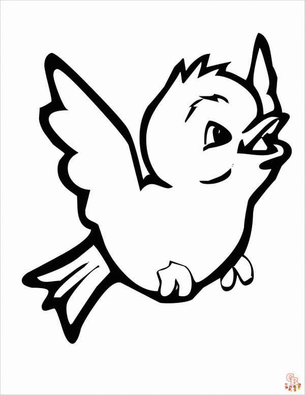 coloriage oiseaux