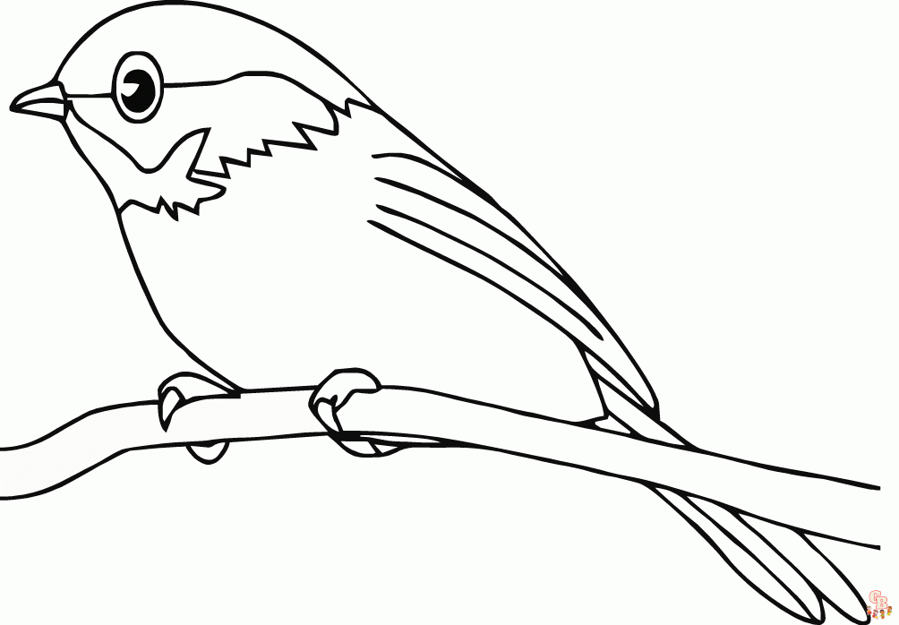 coloriage oiseaux