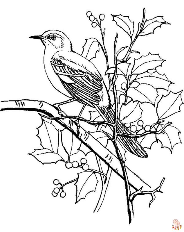 coloriage oiseaux