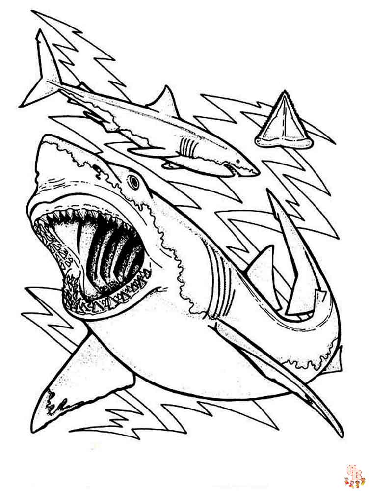 coloriage requins