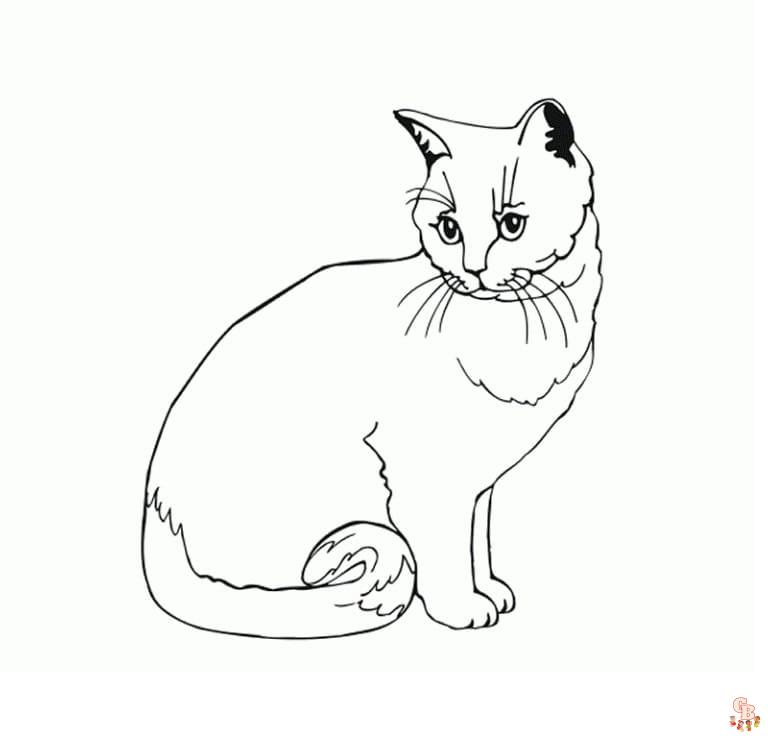 Les avantages pour enfants de la coloration de chat