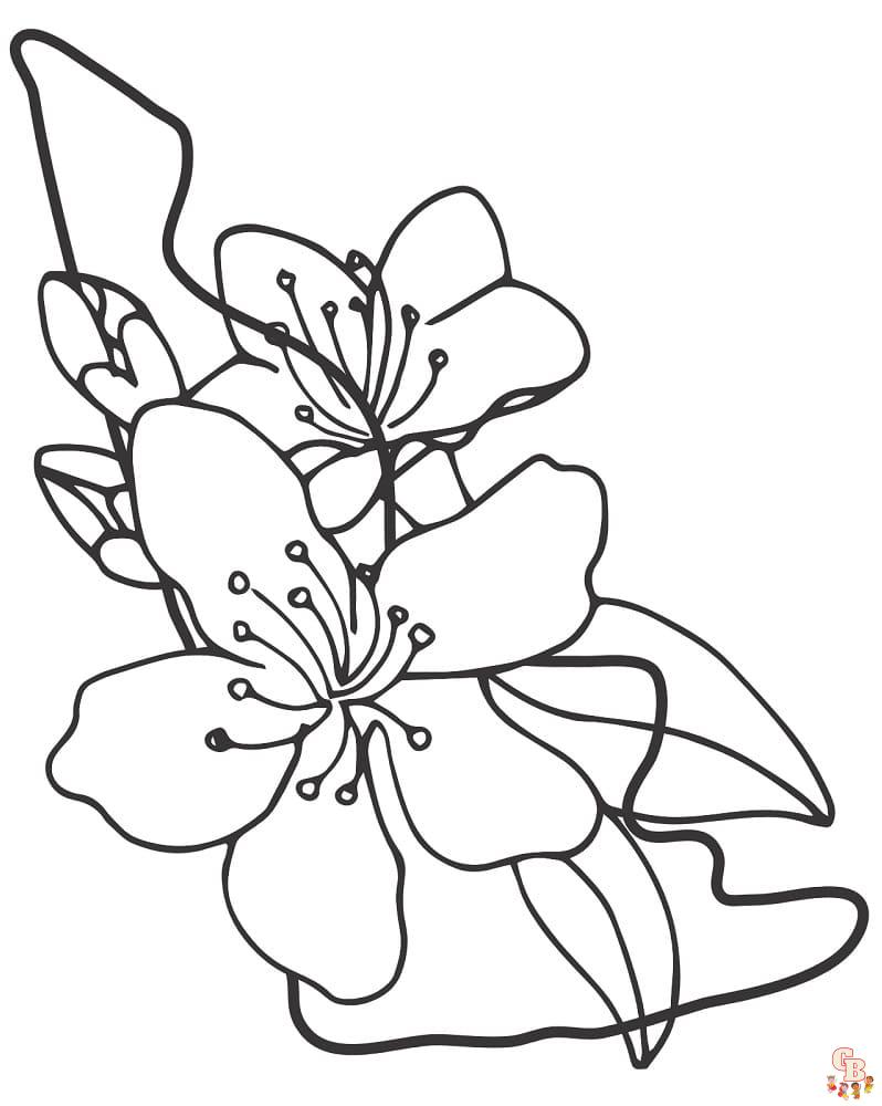 coloriage Sakura