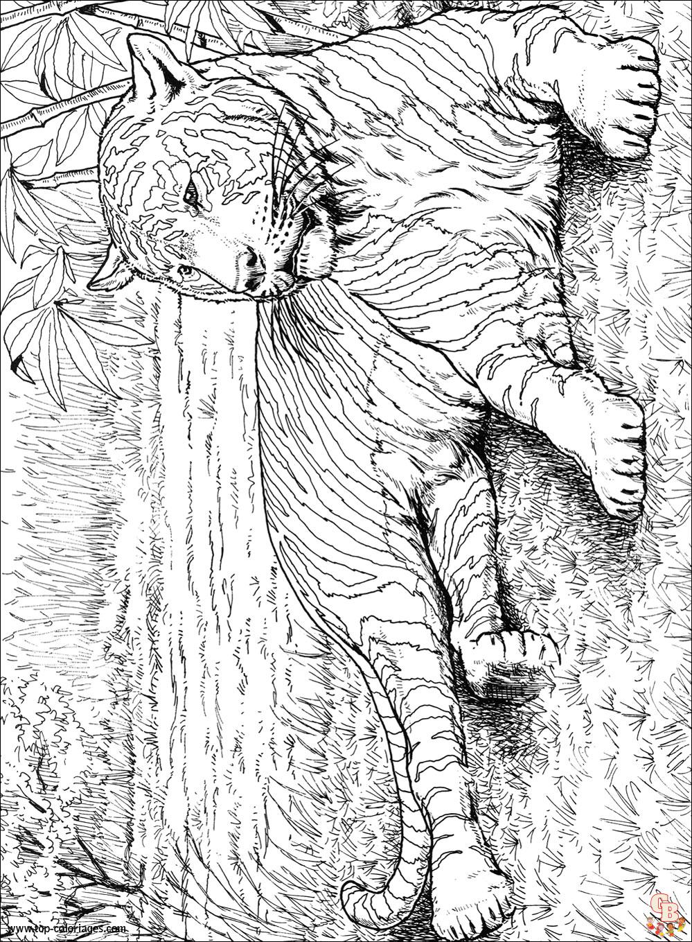 Coloriage Felins
