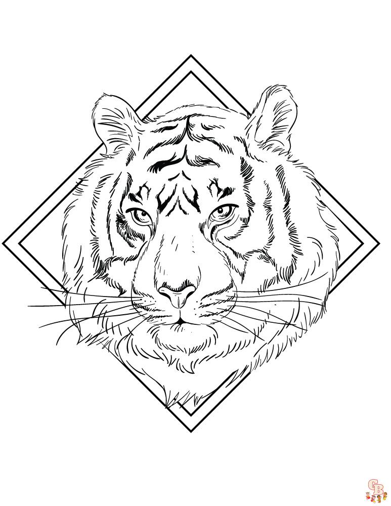 Coloriage Felins