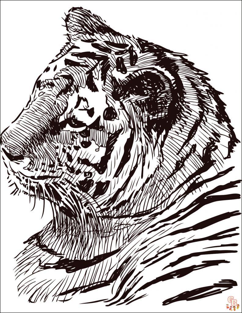 Coloriage Felins