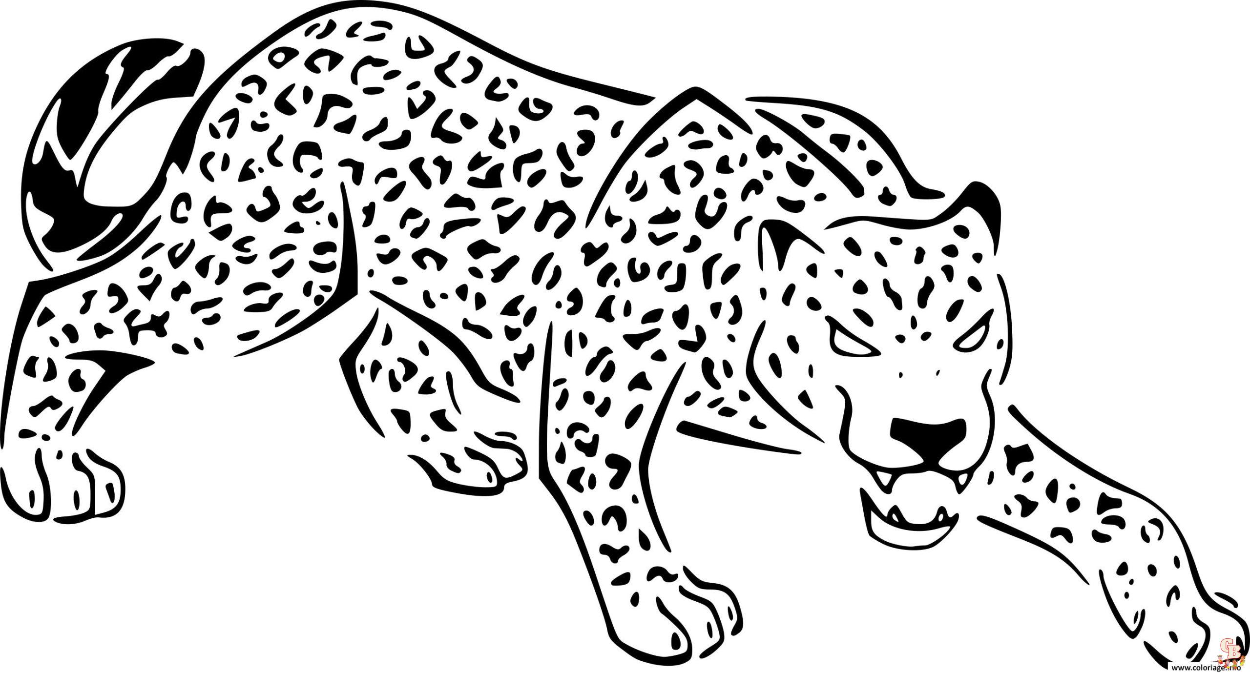 Coloriage Felins
