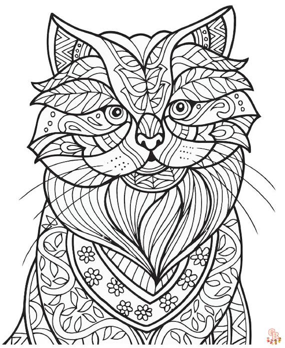 Coloriage Felins