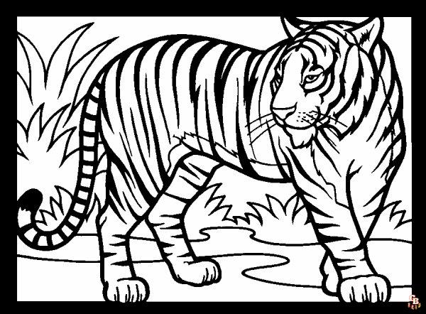 Coloriage Felins