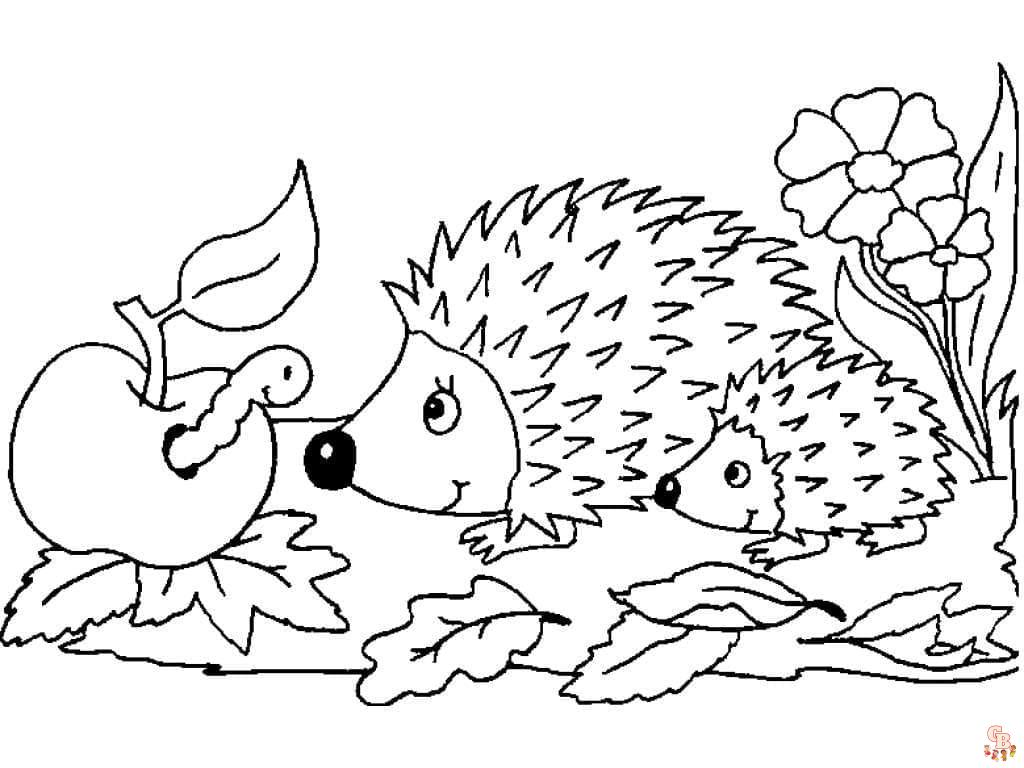 Coloriage Herisson