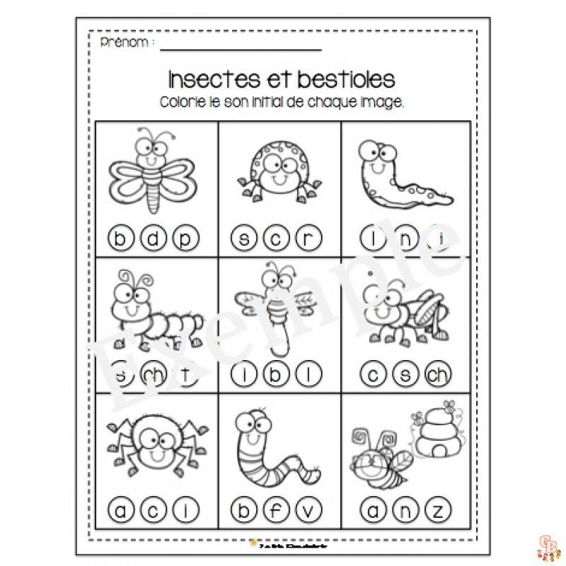 Coloriage Insectes