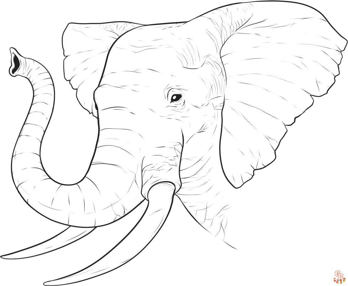 раскраска слон