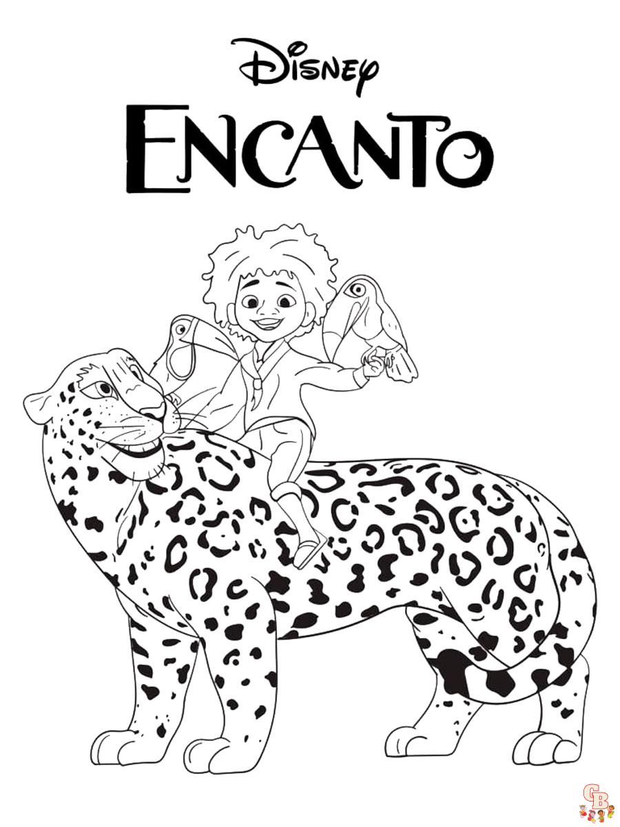Окрашивание Encanto