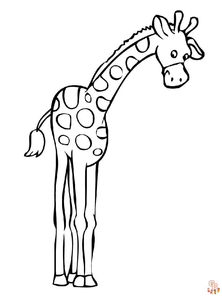 Kolorowanka "Żyrafa