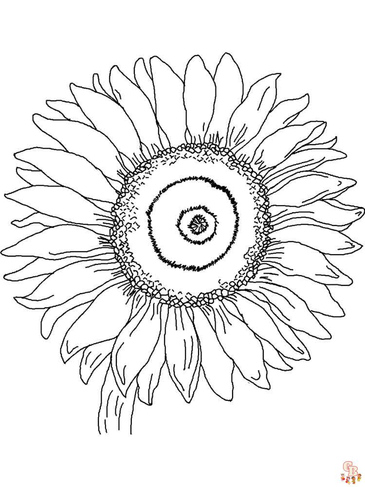 Floarea-soarelui pentru colorat