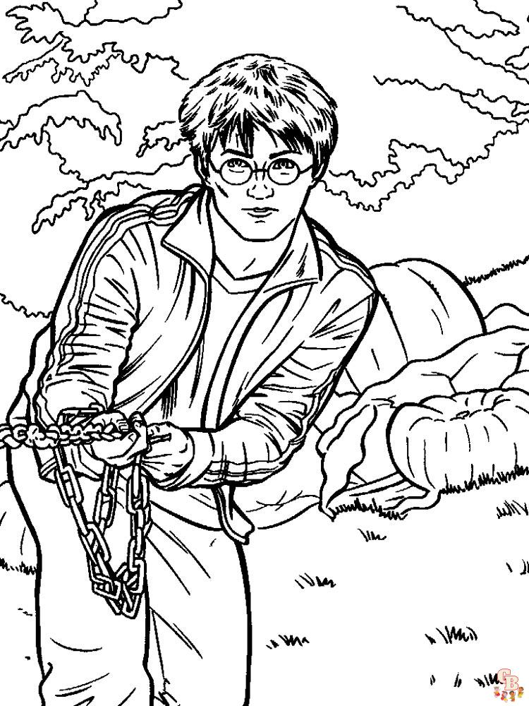 Harry Potter pagini de colorat