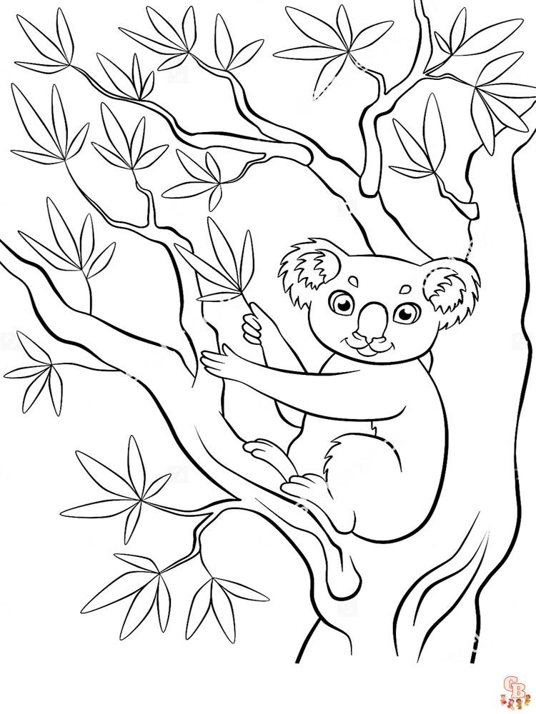 Koala da colorare