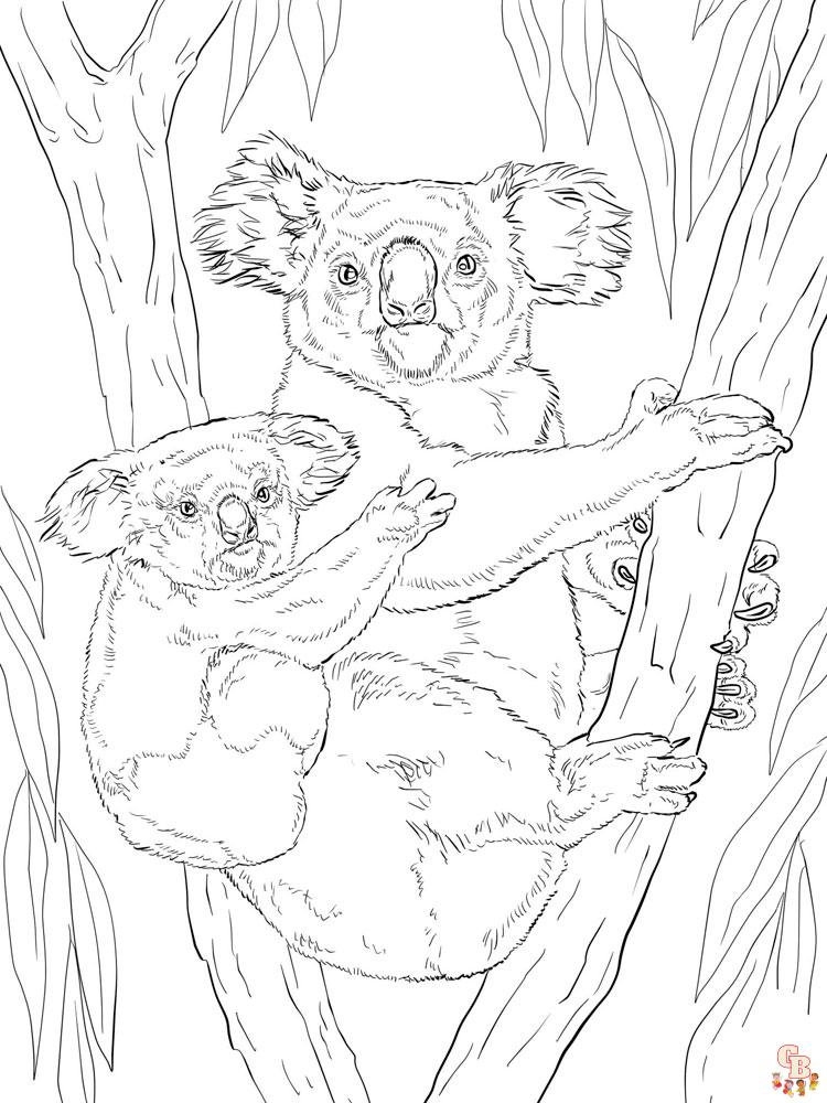Страницы для раскрашивания коалы