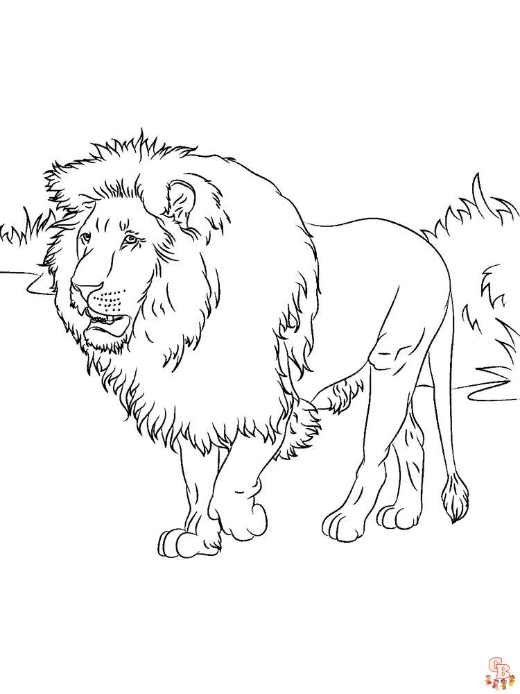 Раскраска лев