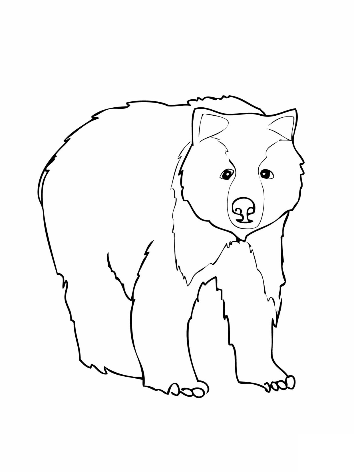 ursos para colorir