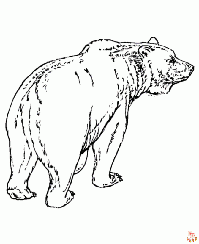 раскрашивание медвежат