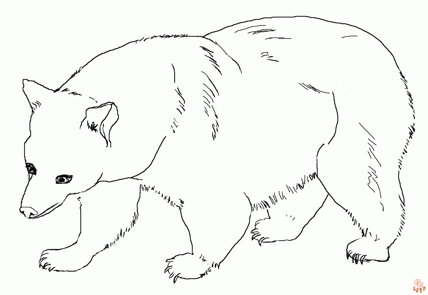 ursos para colorir