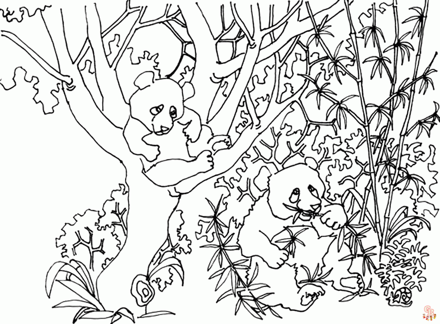 panda da colorare
