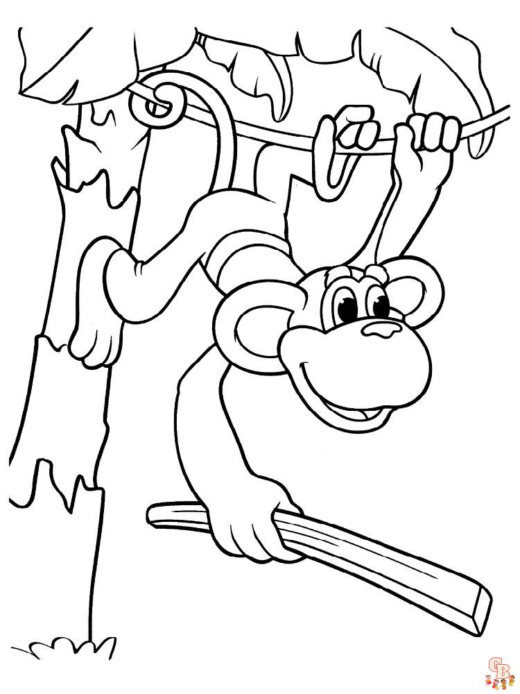 Macacos Colo